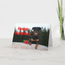 Search for rottweiler birthday cards Pet