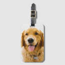 Search for dog luggage tags Golden retriever