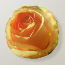 Search for salmon pillows Rose