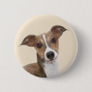 Search for italian buttons Dog