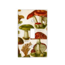 Search for vintage light switch covers Old