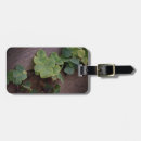 Search for shamrock luggage tags St patrick