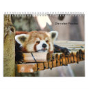 Search for panda bear calendars Pandas