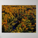 Search for porcupine gifts River