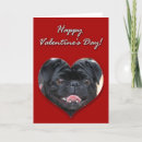 Search for black pug cards Puppies