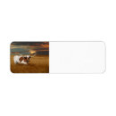 Search for longhorn return address labels Western