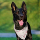 Search for big sister dog Pink