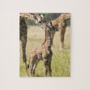 Search for giraffe puzzles Brown