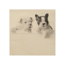 Search for french bulldog nursery decor Puppies