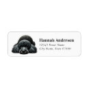 Search for poodle return address labels Cute