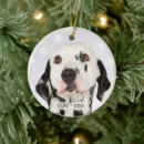 Search for dalmatian ornaments Cute