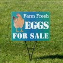 Search for fresh eggs outdoor signs Hen