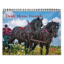 Search for draft horse Horses