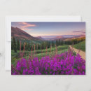 Search for crested butte postcards Landscape