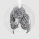 Search for black poodle ornaments White