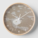 Search for sand dollar clocks Tropical