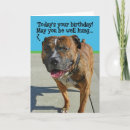 Search for pitbull birthday cards Funny
