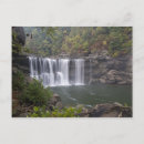 Search for cumberland falls Environment