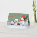 Search for bichon frise christmas cards Santa