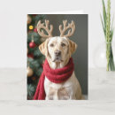 Search for funny reindeer cards Pet
