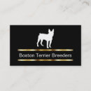 Search for boston terrier business cards puppies