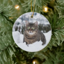 Search for brown tabby cat ornaments Pet