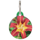 Search for the lily pet tags Nature