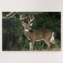 Search for tennessee puzzles Richard