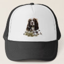 Search for springer spaniels hats English springer spaniel