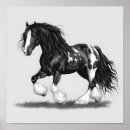 Search for gypsy vanner horse Piebald
