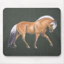 Search for fjord horse Animal