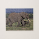 Search for kenya puzzles Mammal