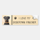 Search for doberman pinscher bumper stickers Dobermann