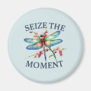 Search for dragonfly magnets Nature
