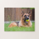 Search for tennis puzzles Dog