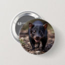 Search for tasmanian devil gifts Wildlife
