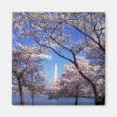 Search for washington dc magnets Refrigerator