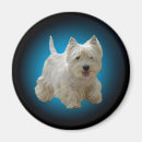 Search for maltese dog gifts Fluffy