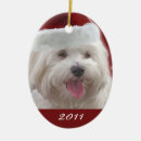 Search for maltese dog ornaments Animals