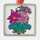 Search for arizona ornaments Cactus