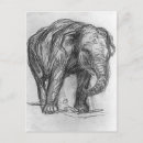 Search for elephant postcards Sketch