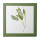 Search for sage green tiles Botanical