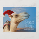 Search for hump day camel santa cards Celebration