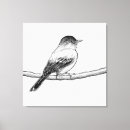 Search for bluebird drawing art Branch