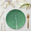 Search for cabbage plates Leaf