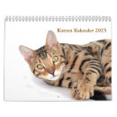 Search for bengal cat calendars Kitten
