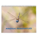 Search for dragonfly calendars Damselfly