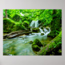 Search for waterfall posters Green