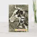 Search for switzerland christmas cards Swiss