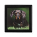 Search for dachshund gift boxes Animal